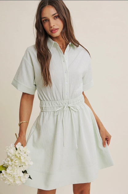 Button Down Mini Dress