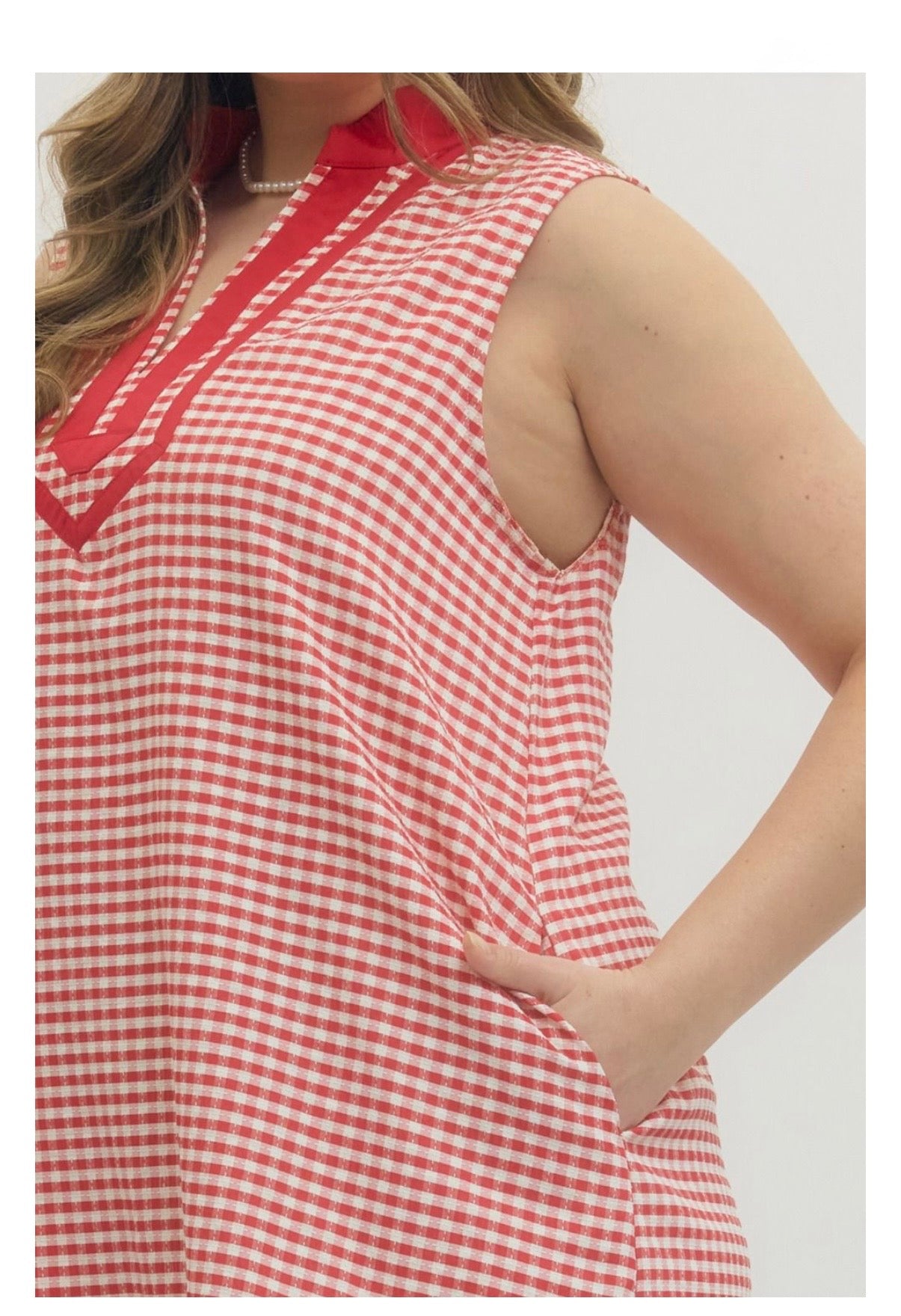 Gingham Mini Dress Curvy