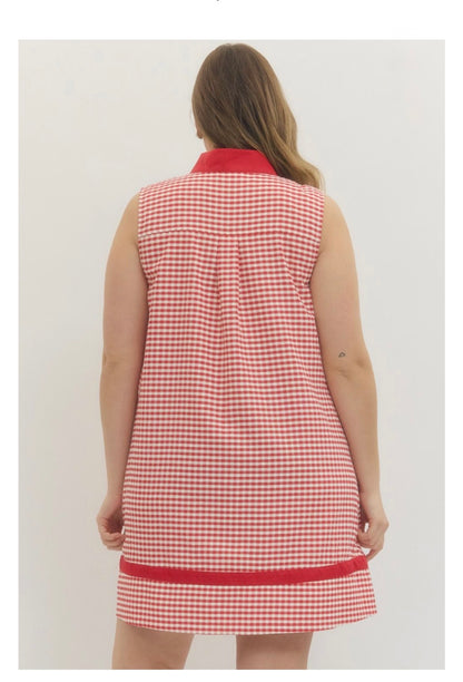 Gingham Mini Dress Curvy