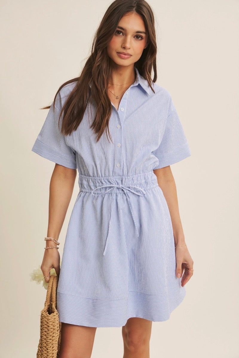 Button Down Mini Dress