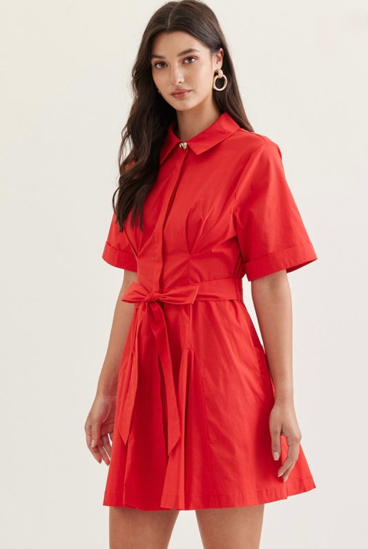 Ava Mini Dress