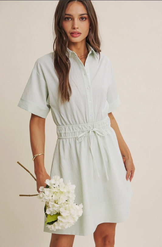 Button Down Mini Dress